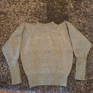 Prologue XXL Sweater - Sage Green NWT